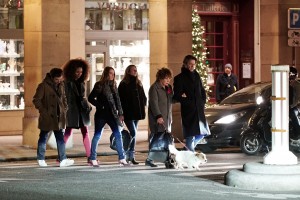 Gregory Montel, Stefi Celma, Fanny Sidne, Camille Cottin, Liliane Rovère, Thibault de Montalembert