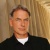 Les meilleures répliques de Leroy Jethro Gibbs – NCIS