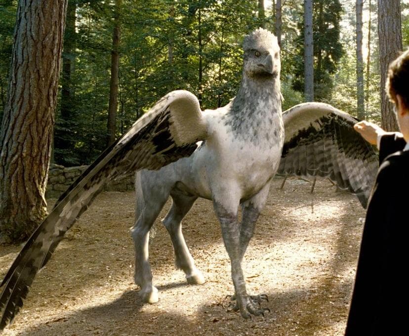 Les créatures de rêves et de cauchemars de la saga Harry Potter Ciné Télé & Co.