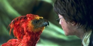 Les créatures de rêves et de cauchemars de la saga Harry Potter