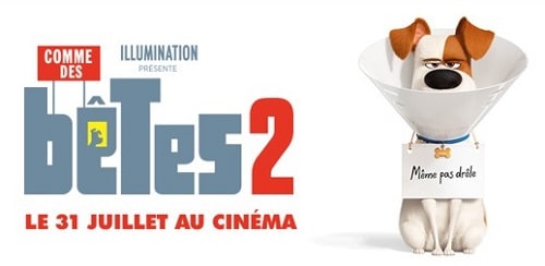 Tournage Roi Lion 2019 Vrai Animaux Tous au poil ! - Comme des bêtes 2, Le Roi Lion - Ciné Télé & Co.